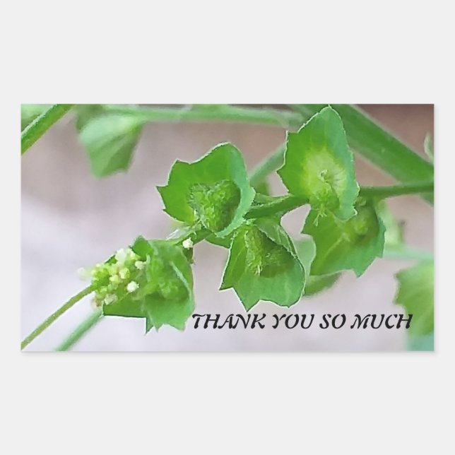 RECTANGULAIRE STICKER POUR REMERCIER (Devant)