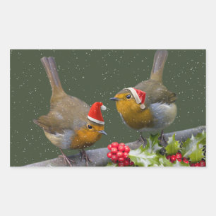 Rectangulaire Sticker Robin Bobbin