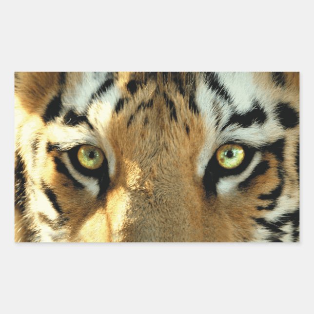 Rectangulaire Tigre 1 - Sticker (Devant)