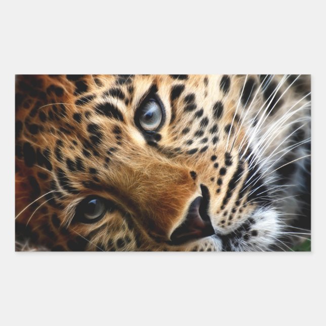 Rectangulaire Tigre 3 - Sticker (Devant)