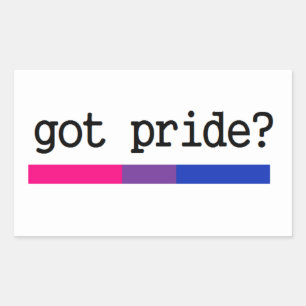 Rectangulaire Vous avez de la fierté ? Bisexuel Bi Pride Sticker