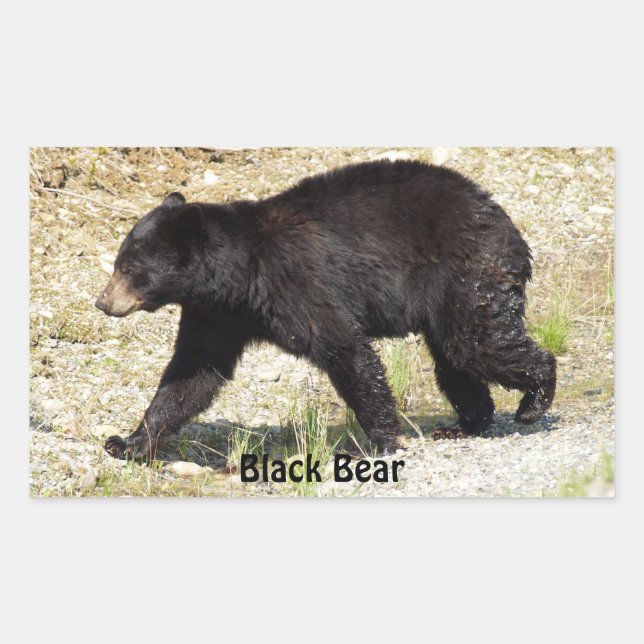 Rectangulaire Yukon Ours Noir Faune Sticker Cadeaux (Devant)