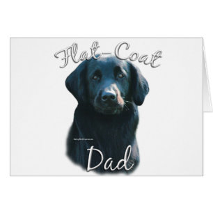 Récupérateur à couche plate Papa 2