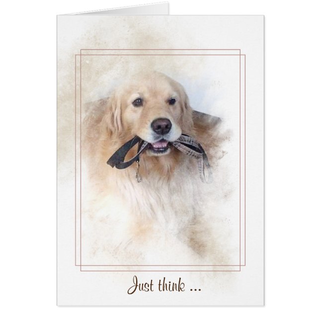 récupérateur d'or avec laisse dans la bouche (Devant)