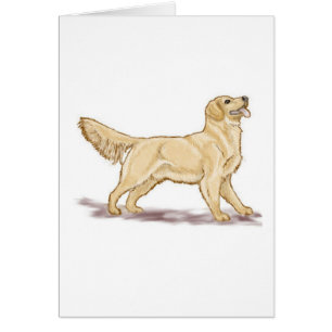 Récupérateurs d'or