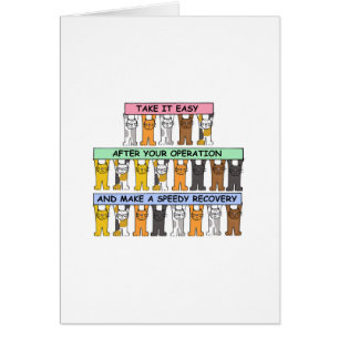 Récupération après une opération de chats caricatu