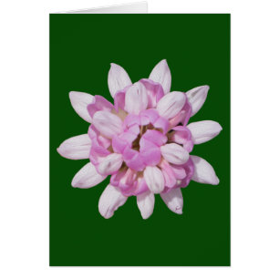 Récupération de la couronne n° 1