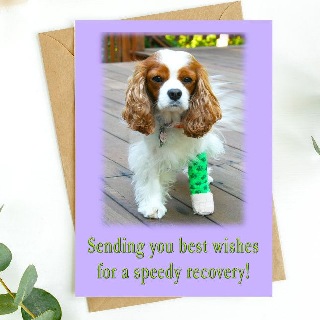 Récupération rapide Obtenez bien Carte Espagnol (Send speedy recovery healing vibes with this adorable dog card. )