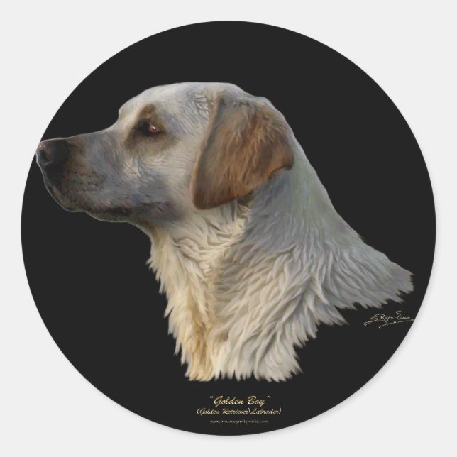RÉCUPÉRER LES Stickers DE CHIEN LABRADOR (Devant)