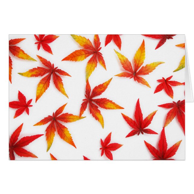 Red Autumn Maple Leaves (Devant horizontal)