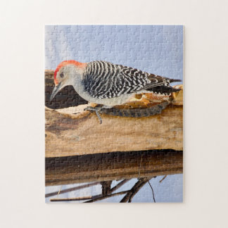Red-Bellied Woodpecker Jigsaw Puzzle