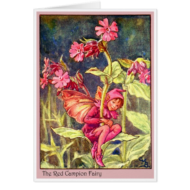Red Campion Fairy (Devant)