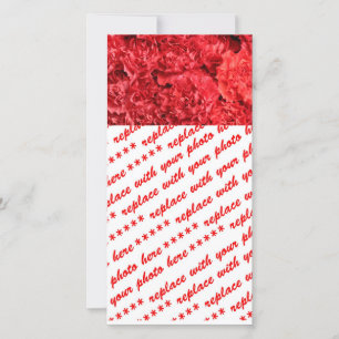 Red Carnations