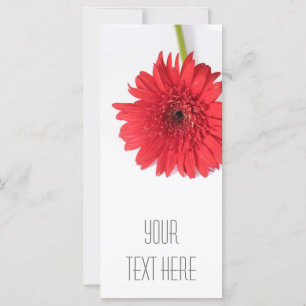 Red Chrysanthemum Votre carte à plat texte