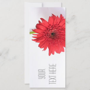Red Chrysanthemum Votre carte à plat texte