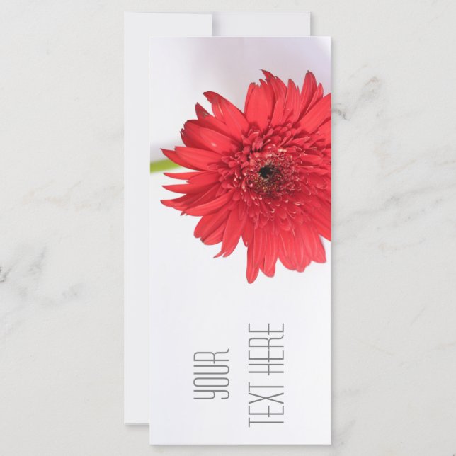 Red Chrysanthemum Votre carte à plat texte (Devant)