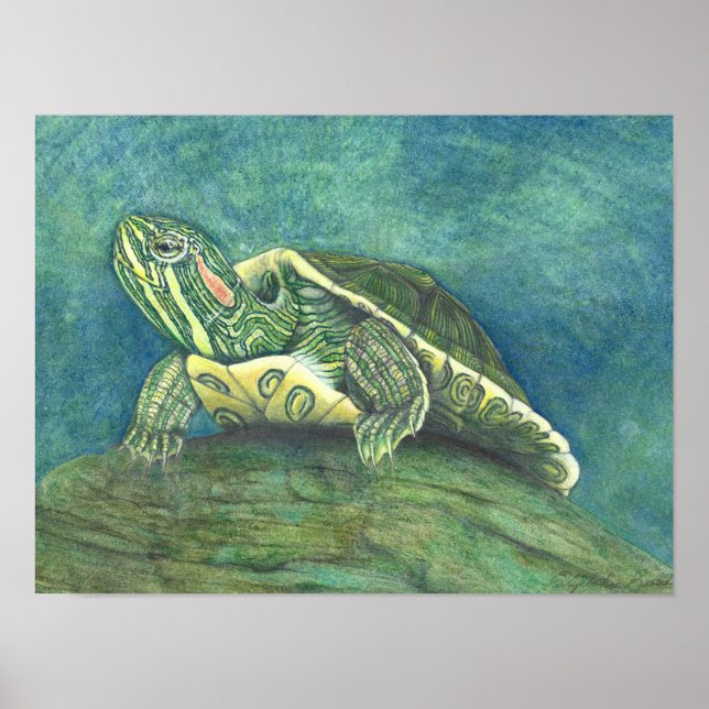 Red-Eared Slider Poster (Devant)