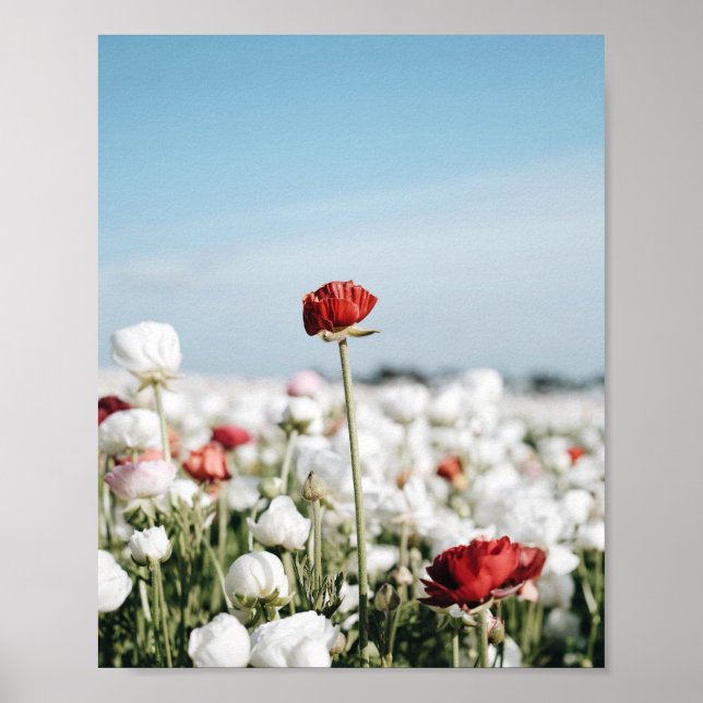 Red flower Print, Value Poster Paper (Semi-Gloss) (Devant)