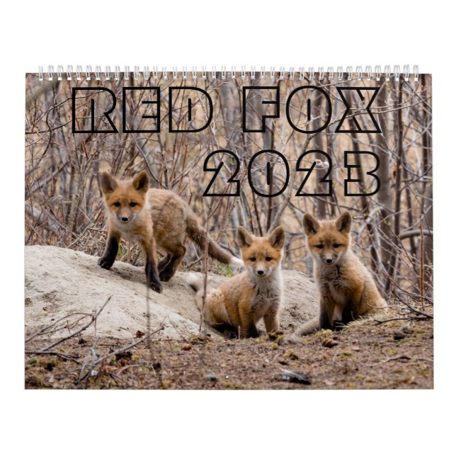 Red Fox 2023 - Calendrier (Protection)