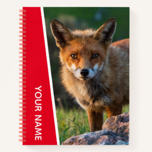 Red Fox Wildlife Animal Australia Carnet