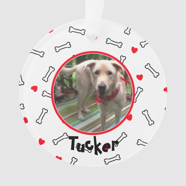 Red Hearts White Bones Photo Chien (devant)