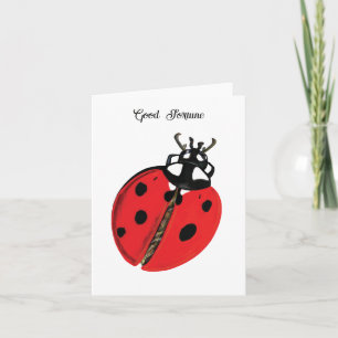 Red Lady Bug Good Luck Ambassador Illustration