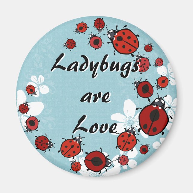 Red Ladybug Magnet (Devant)