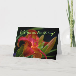 Red Lily Flower Garden Carte d'anniversaire