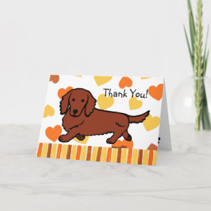 Red Long Haired Dachshund Merci