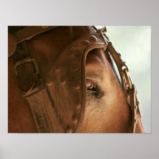 Red Mule - Eye Poster (Devant)