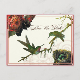Red Protea Hummingbirds - Enregistrer la carte pos