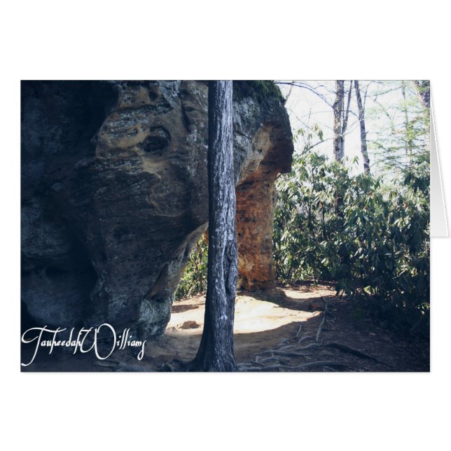 Red River Gorge, KY - Angel's Window LIGHT notes (Devant Horizontal)