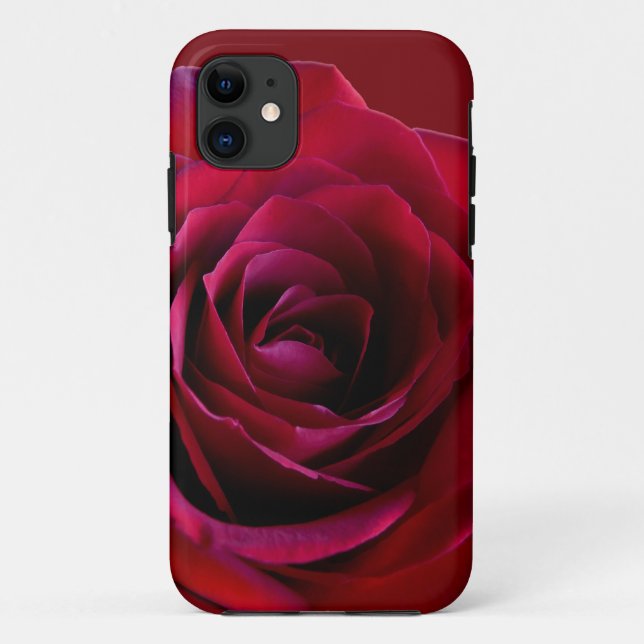 Red Rose iPhone 5 Coque Rose classique coque iphon (Dos)