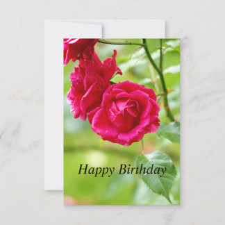 Red Roses Bonne Carte d'anniversaire