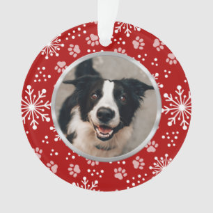 Red Snowflake Paw Motif Pet Photo
