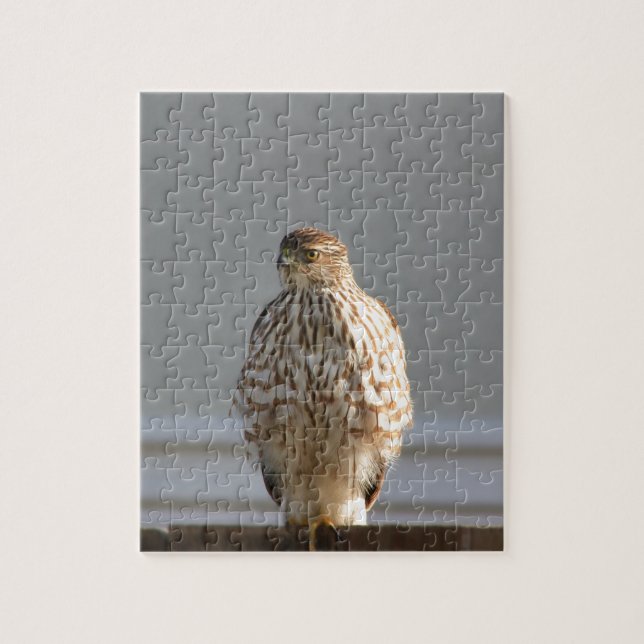 Red Tail Hawk puzzle (Vertical)