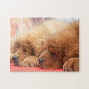 Red Tibetan Mastiff dog Jigsaw Puzzle