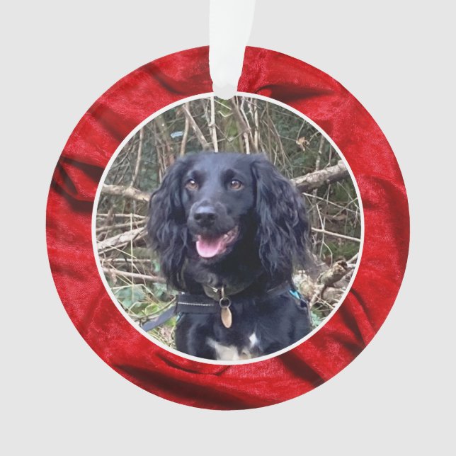 Red Velvet Pet Photo Christmas (devant)