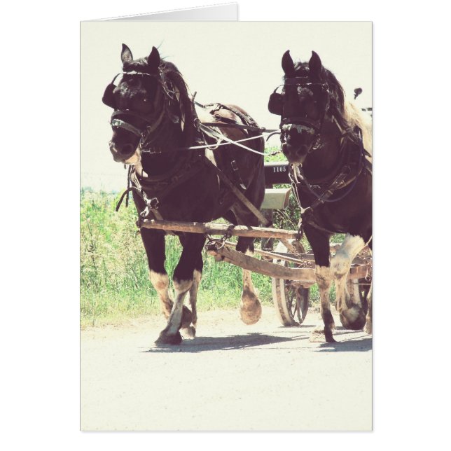 Rédaction Pinto au travail Effet Vintage (Devant)