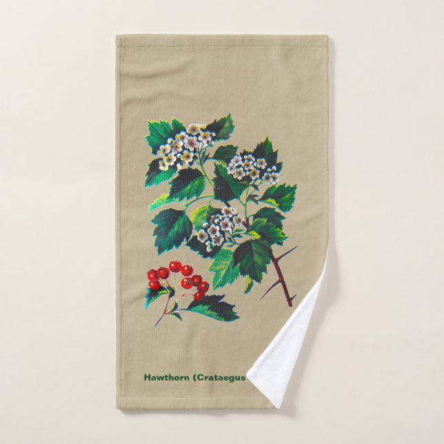 Redhaw Hawthorn sur vieux papier (Serviette à main)