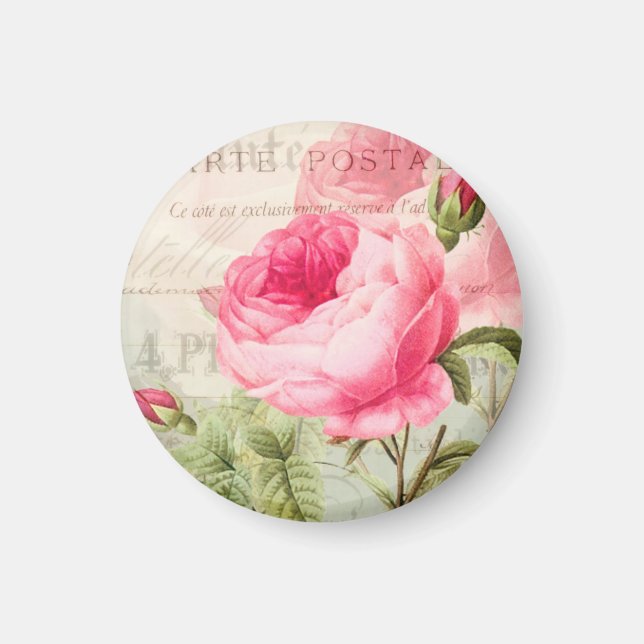 Redoute Rose Rose Cercle Magnet (Devant)