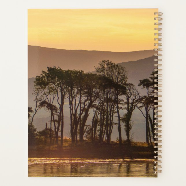 Reflets de l'heure dorée avec des arbres en silhou (Dos)