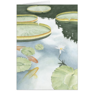 Réflexion d'étang de Koi avec des poissons et des