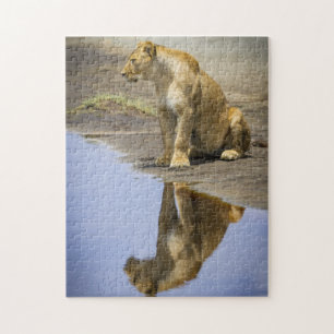 Réflexion d'un puzzle de lionne