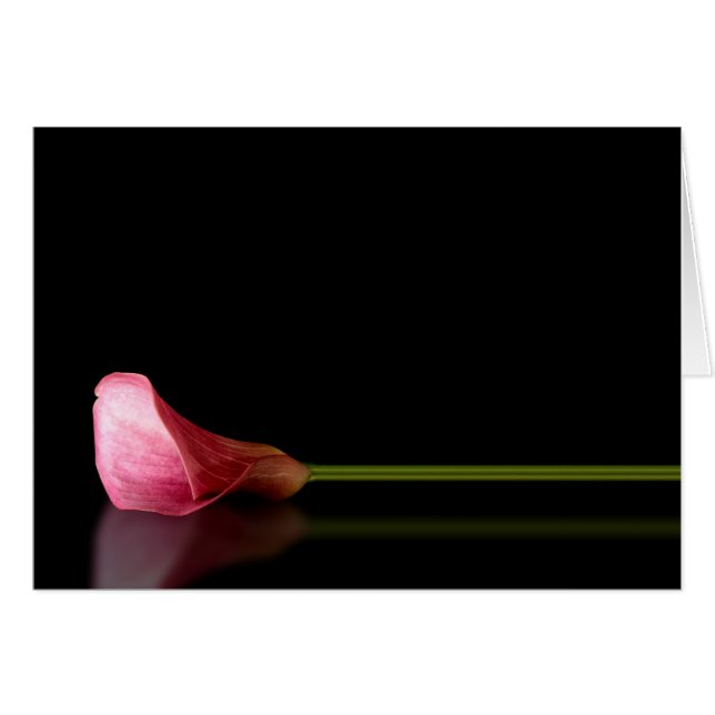 Réflexion rose Calla Lily (Devant horizontal)
