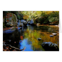 Réflexions à la grande crique