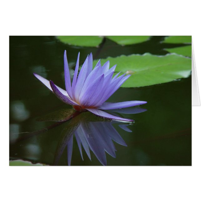 Réflexions bleues (Devant Horizontal)