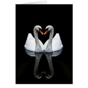 Réflexions de l'amour, forme de coeur, cygnes
