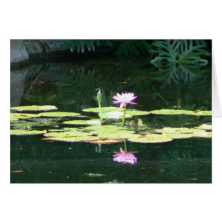 Réflexions de Lotus