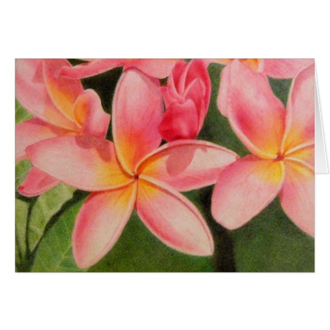 Réflexions de Plumeria (Devant Horizontal)